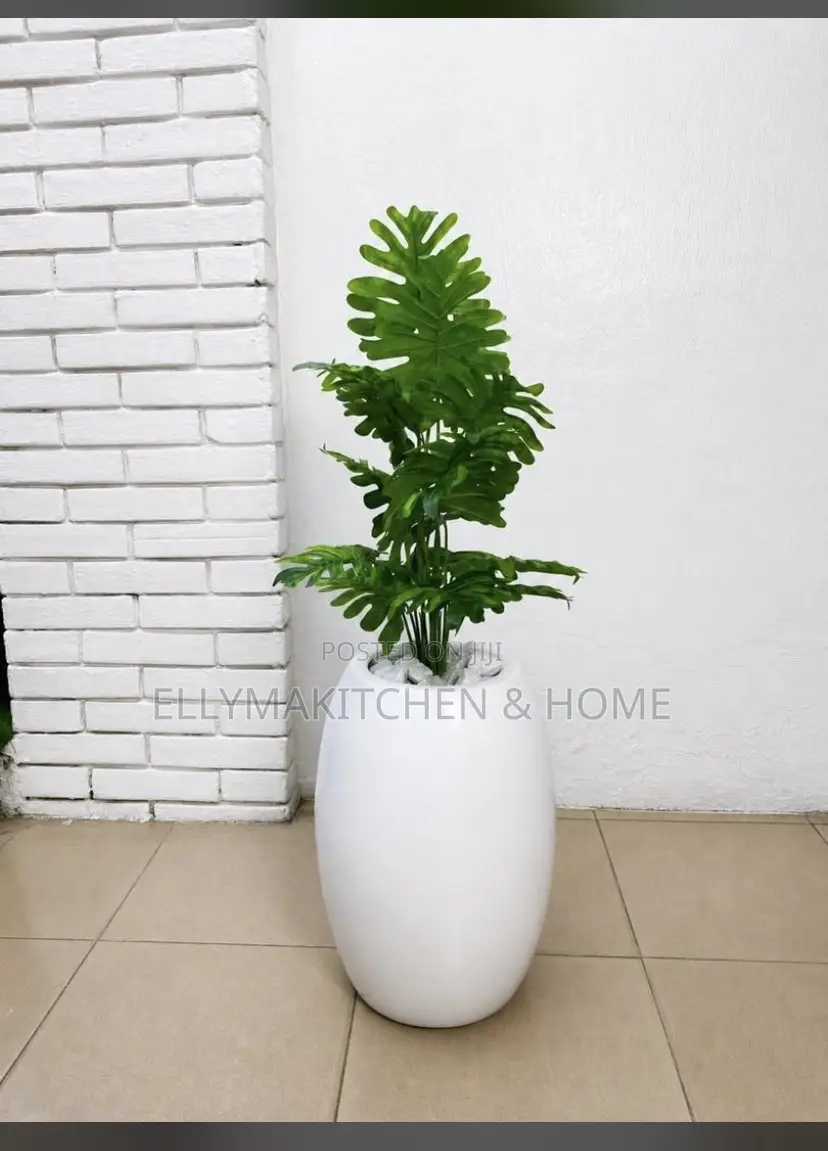 Combo Mini Plant With Classic Fiber Pot (100cm)