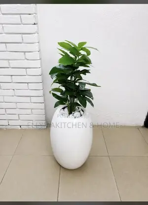 Combo Mini Plant With Classic Fiber Pot (100cm)