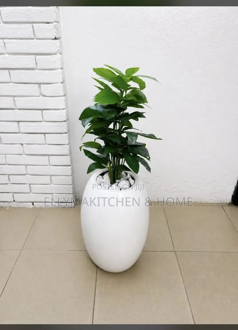 Combo Mini Plant With Classic Fiber Pot (100cm)