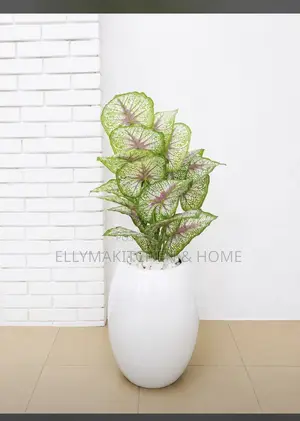 Combo Mini Plant With Classic Fiber Pot (100cm)
