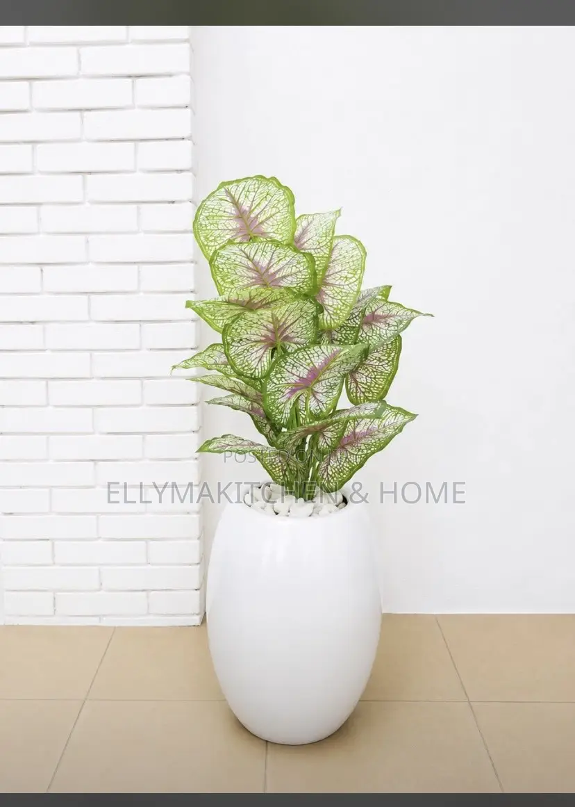 Combo Mini Plant With Classic Fiber Pot (100cm)