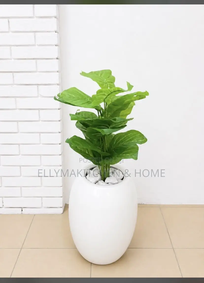 Combo Mini Plant With Classic Fiber Pot (100cm)