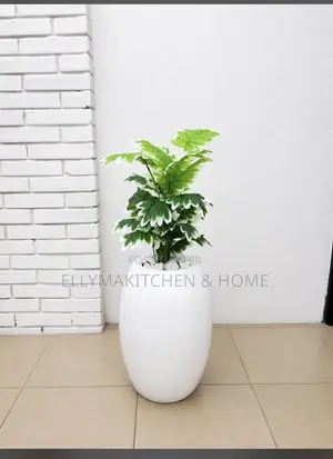 Combo Mini Plant With Classic Fiber Pot (100cm)