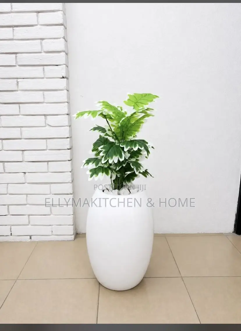 Combo Mini Plant With Classic Fiber Pot (100cm)