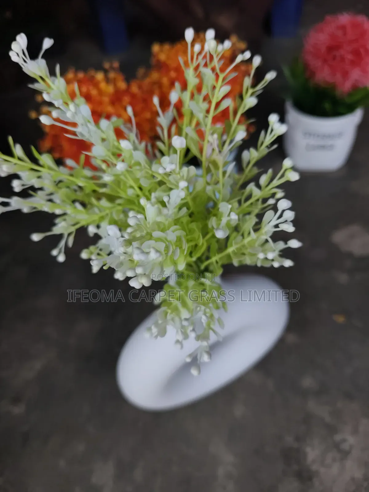 Cup Flowers. Available in Different Sizes and Flowers .
