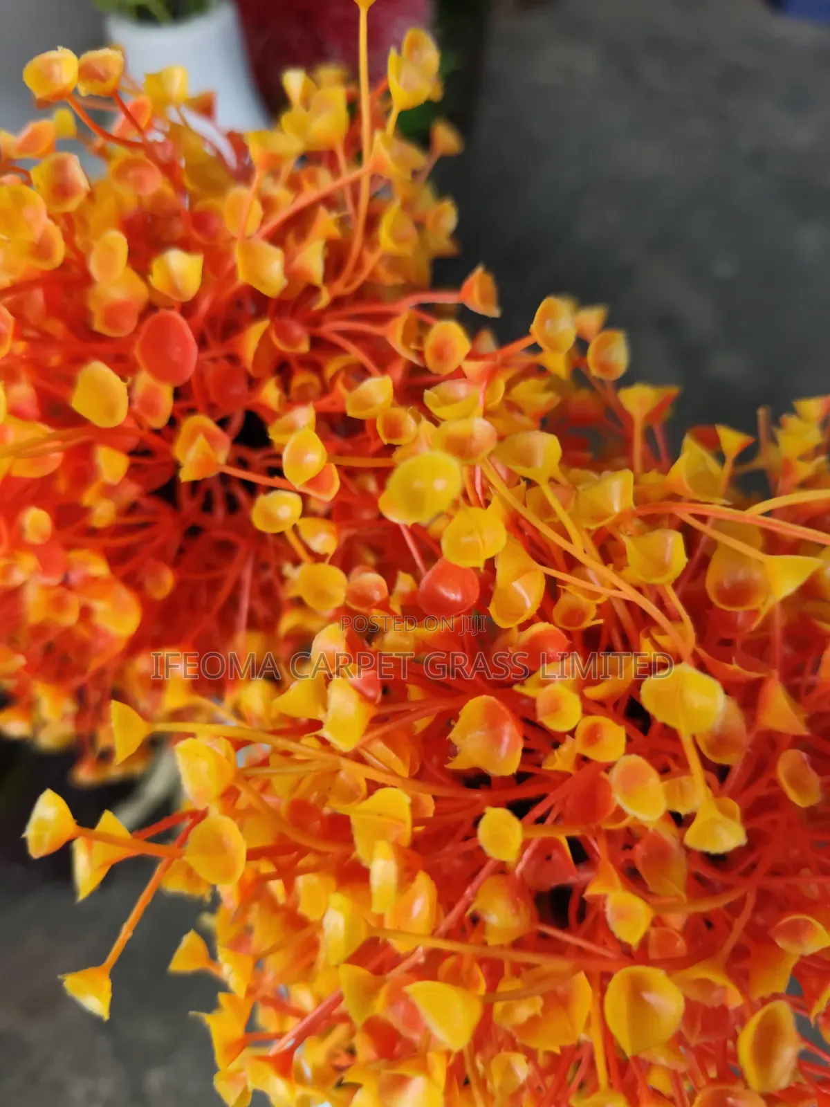 Cup Flowers. Available in Different Sizes and Flowers .