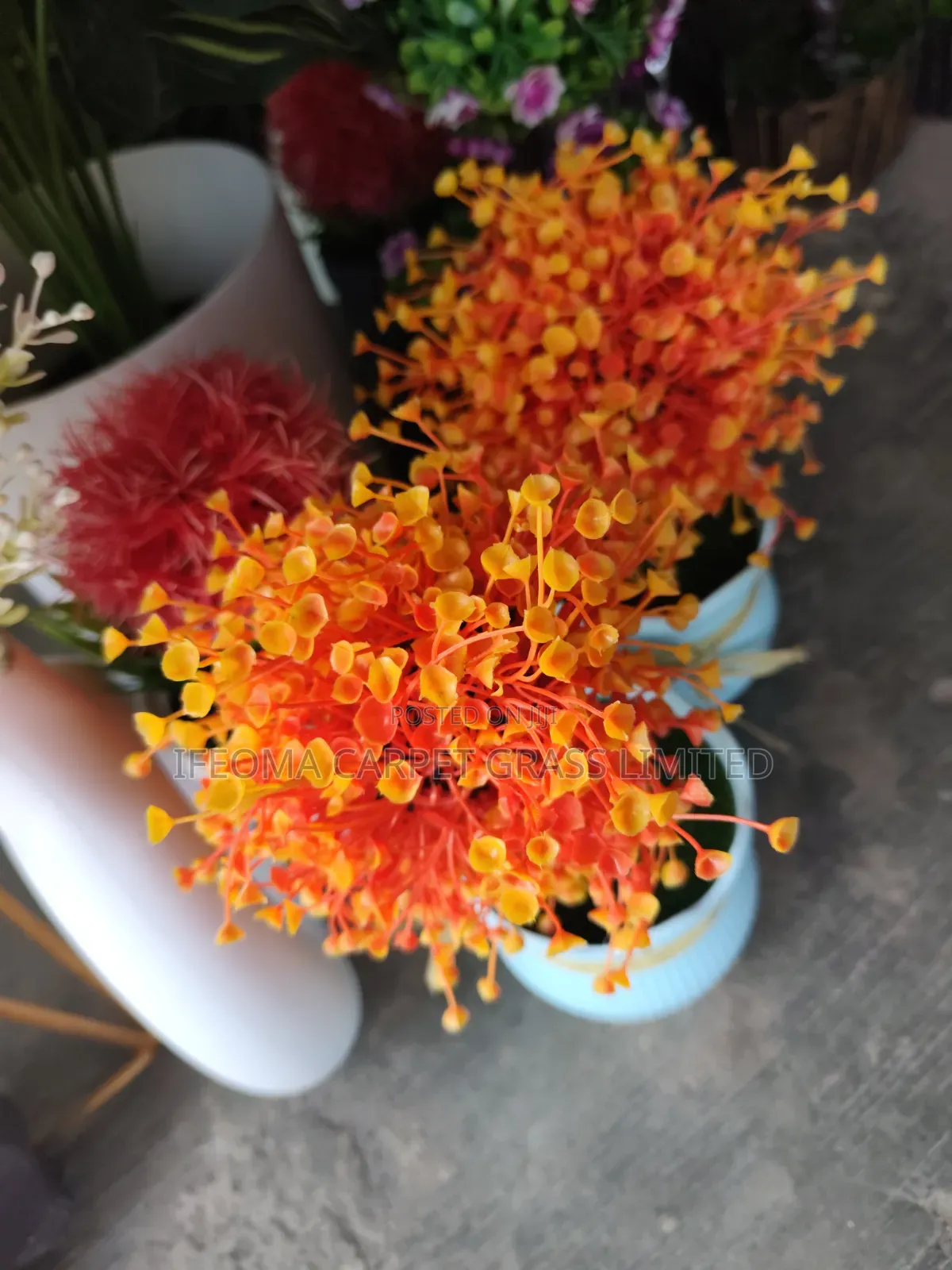 Cup Flowers. Available in Different Sizes and Flowers .