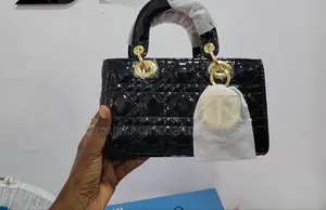 Dior Croc Skin Bag