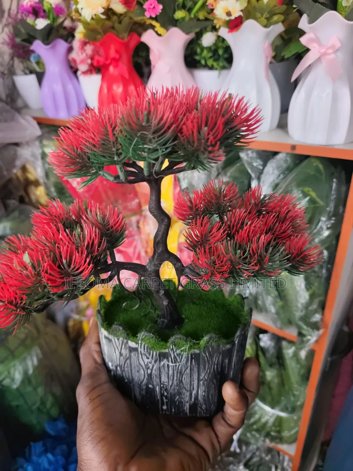 Cup Flowers. Available in Different Sizes and Flowers .