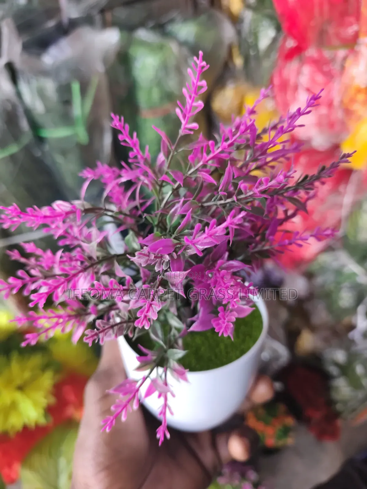 Cup Flowers. Available in Different Sizes and Flowers .