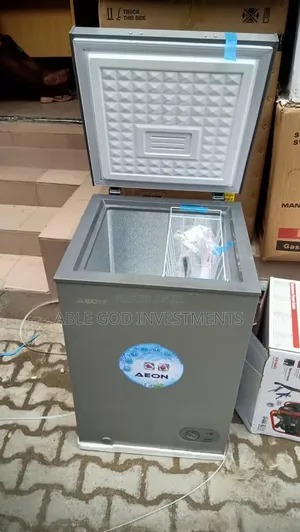 Original 100 Litres AEON Chest Freezer
