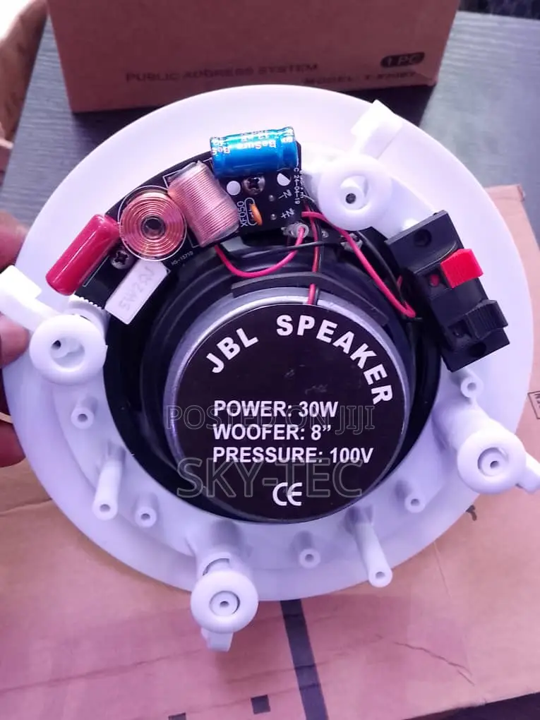 JBL 30watts Ceiling Speaker Big Magnet Passive Woofer:8'