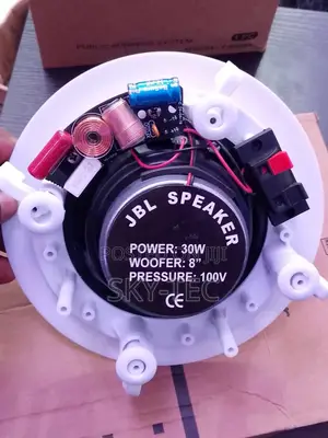 JBL 30watts Ceiling Speaker Big Magnet Passive Woofer:8'