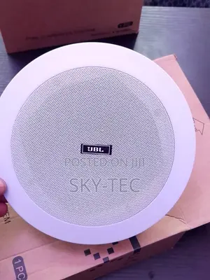 JBL 30watts Ceiling Speaker Big Magnet Passive Woofer:8'