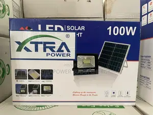 100w Flood Light