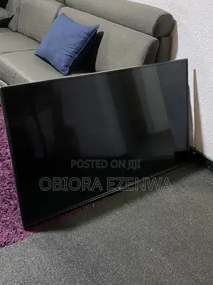 55’ LG TV (Non-Smart)