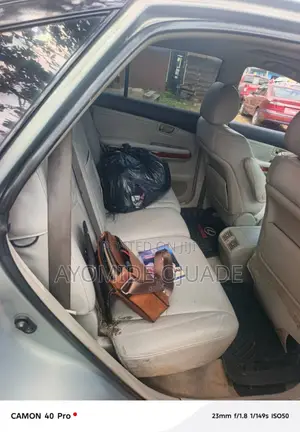Lexus RX 2008 Silver