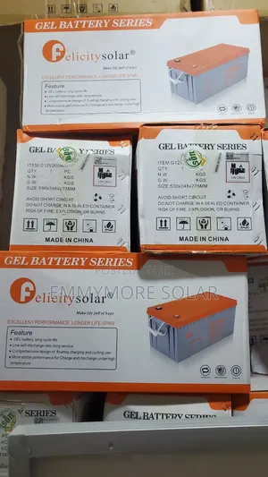 Felicity Deep Cycle Gel Battery