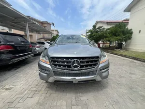 Mercedes-Benz M Class 2015 Gray