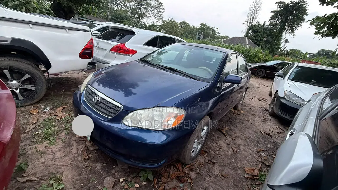Toyota Corolla LE 2007 Blue