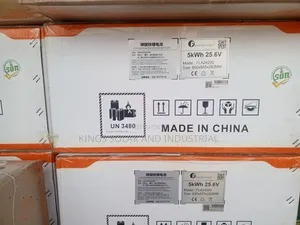 5kwh 24v Felicity Lithium Battery