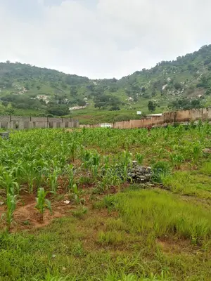 Commercial