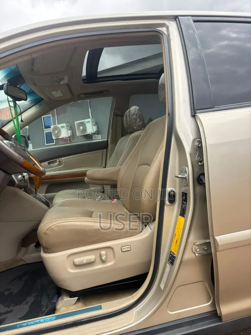 Lexus RX 2009 Gold