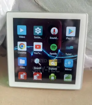 Sky-Tec 4inches Bluetooth, Wi-Fi Wall Keypad Amplifier