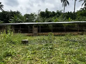 Pig House and Poultry Farm Land