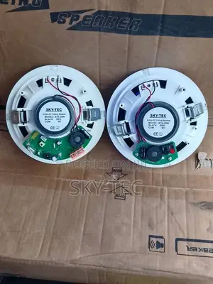 Sky-Tec 20watts Active Passive 2 in 1 Bluetooth Ceiling Speaker