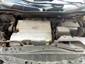 Lexus RX 2010 Gray