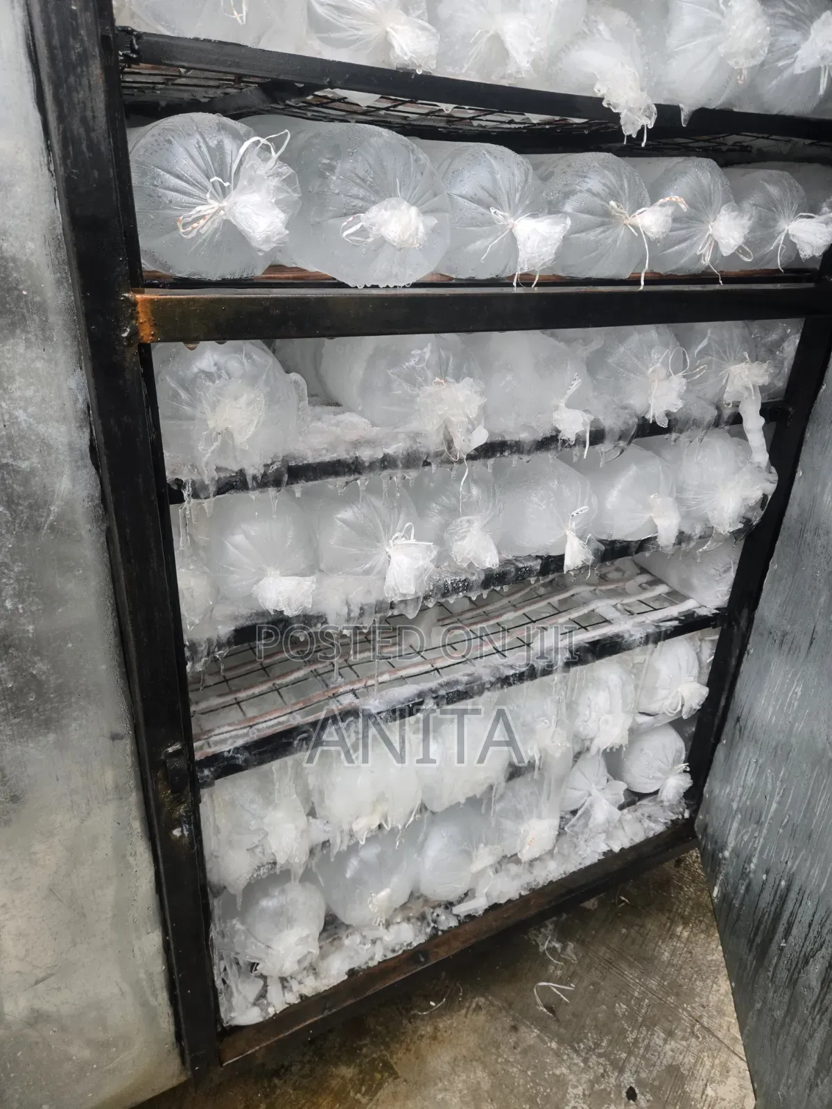 Ice Block for Supply