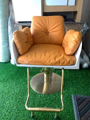 Luxury Salon Chair- Imported