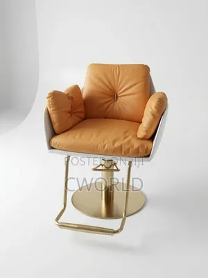 Luxury Salon Chair- Imported