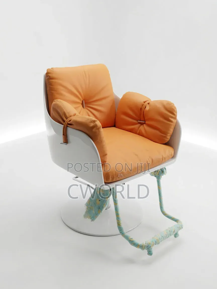 Luxury Salon Chair- Imported