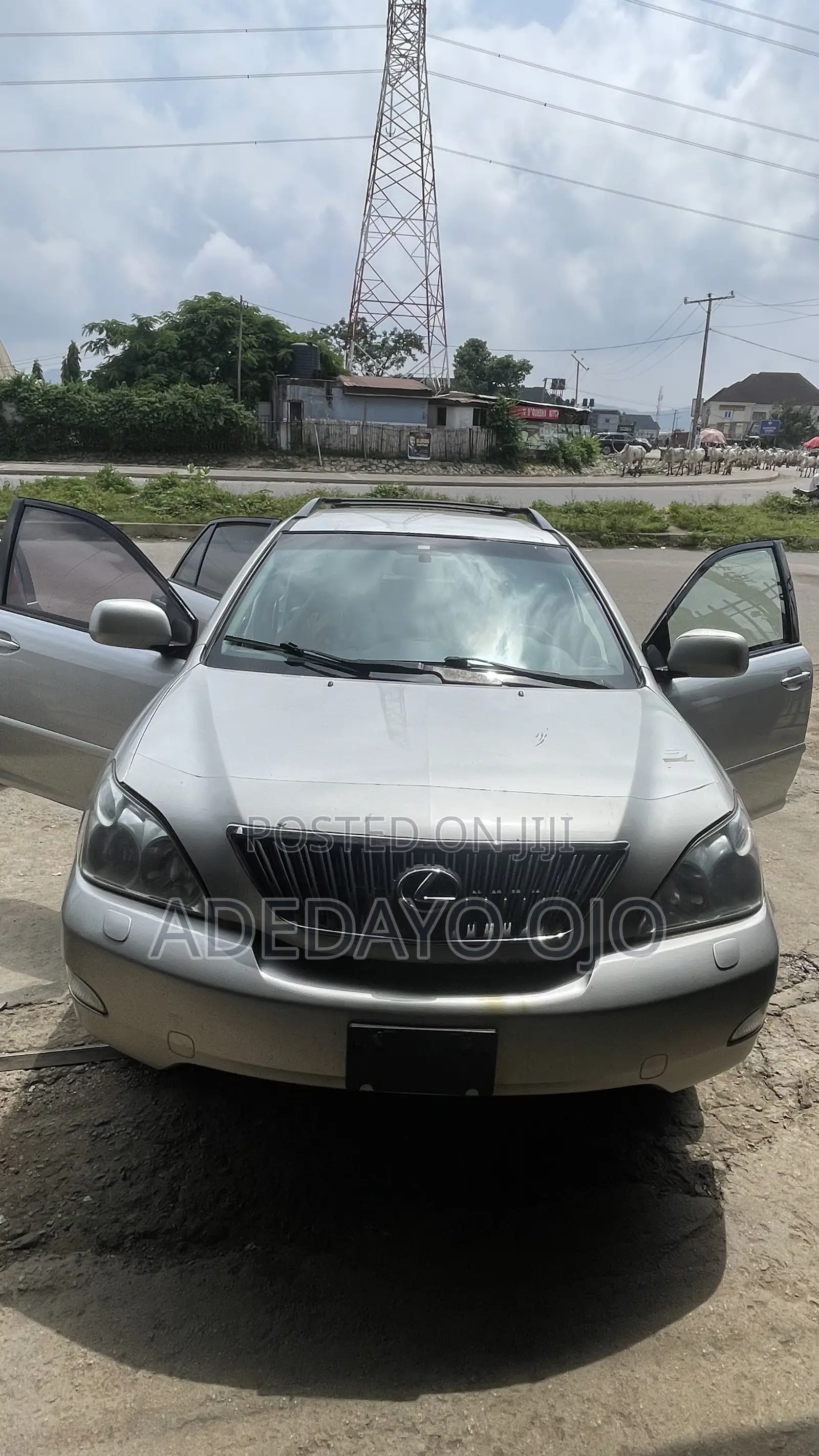 Lexus RX 330 2005 Silver
