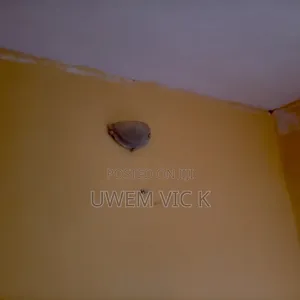 Paint Production and Screeding.
