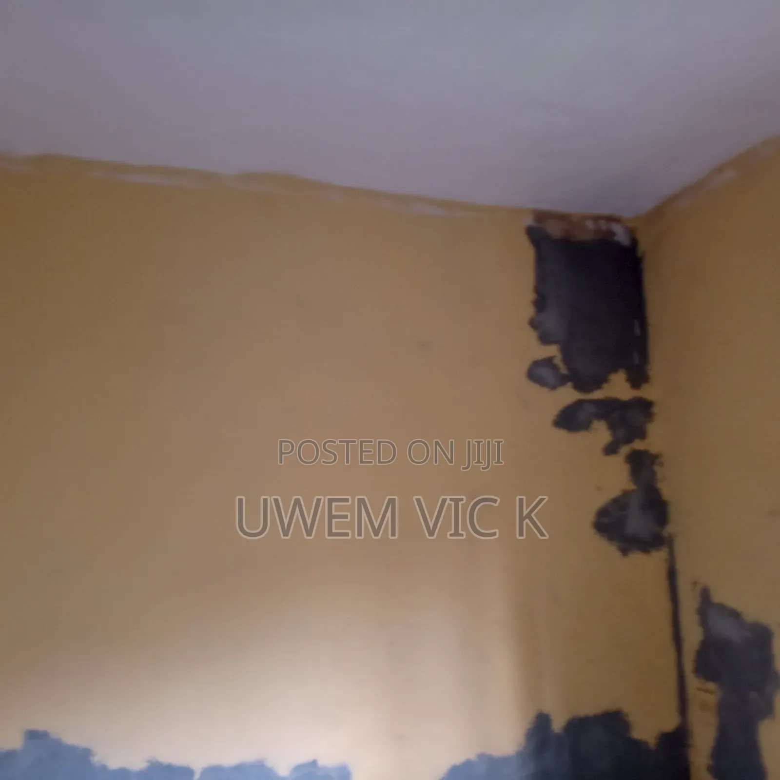 Paint Production and Screeding.