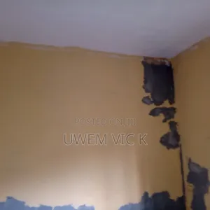 Paint Production and Screeding.