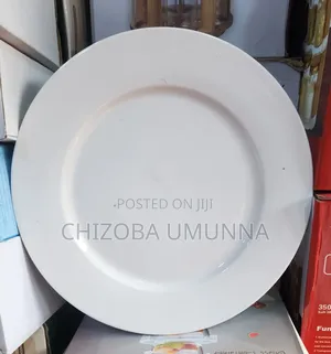 24pcs Flat Plate