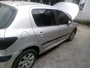 Peugeot 307 2006 Silver