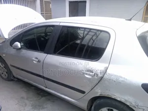 Peugeot 307 2006 Silver