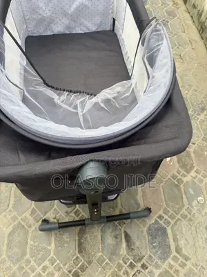 Very Neat Baby Colt