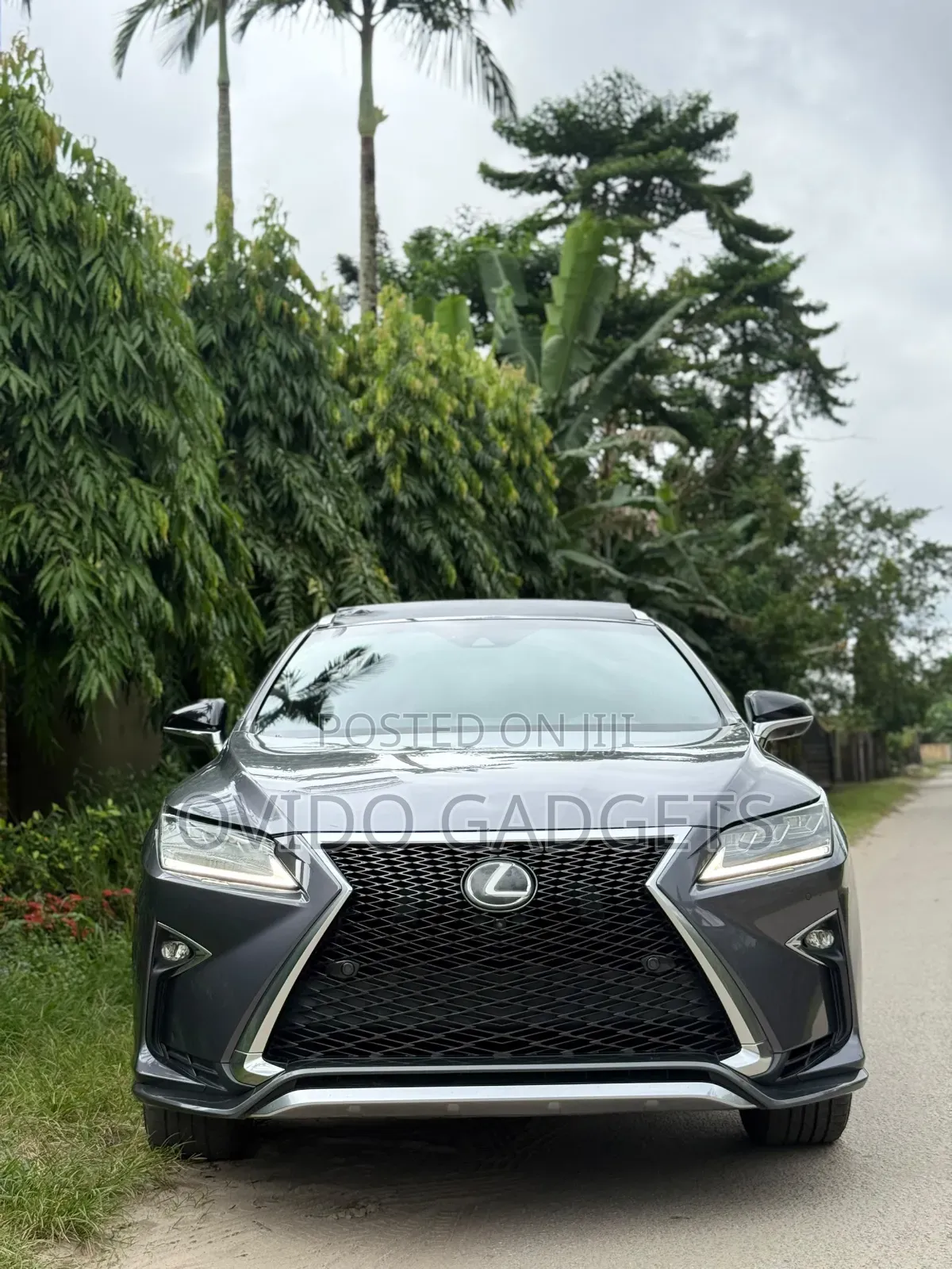 Lexus RX 2018 Gray