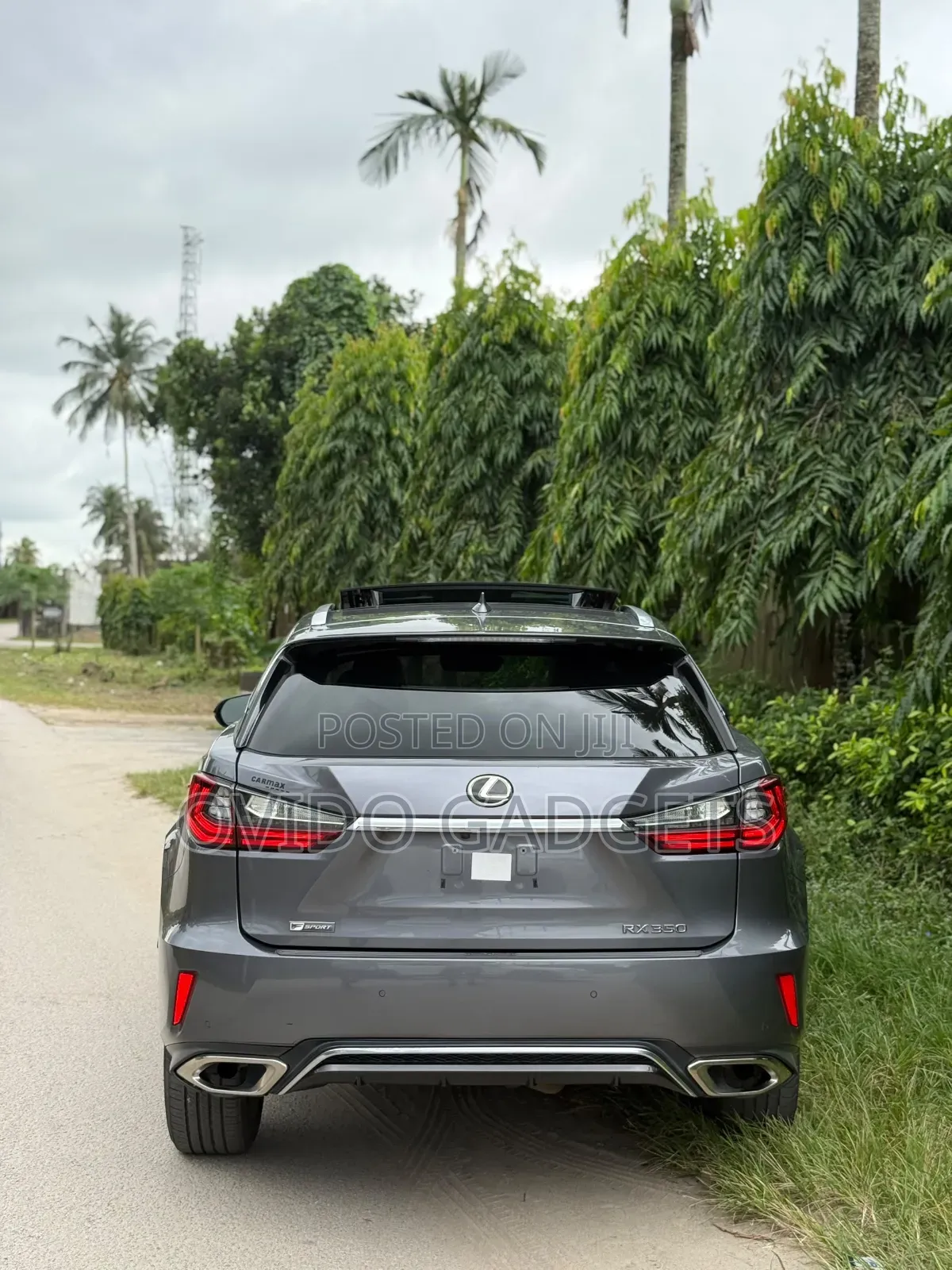 Lexus RX 2018 Gray