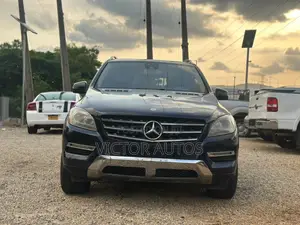 Mercedes-Benz M Class 2013 Blue