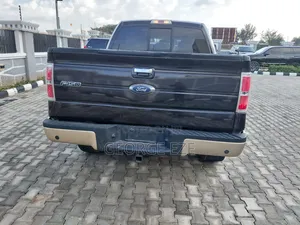 Ford F-150 2014 Gray