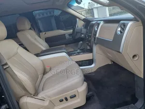 Ford F-150 2014 Gray