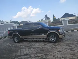 Ford F-150 2014 Gray