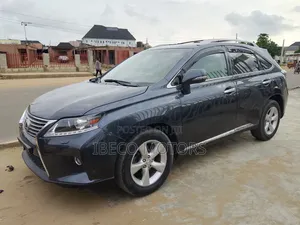 Lexus RX 350 2010 Gray